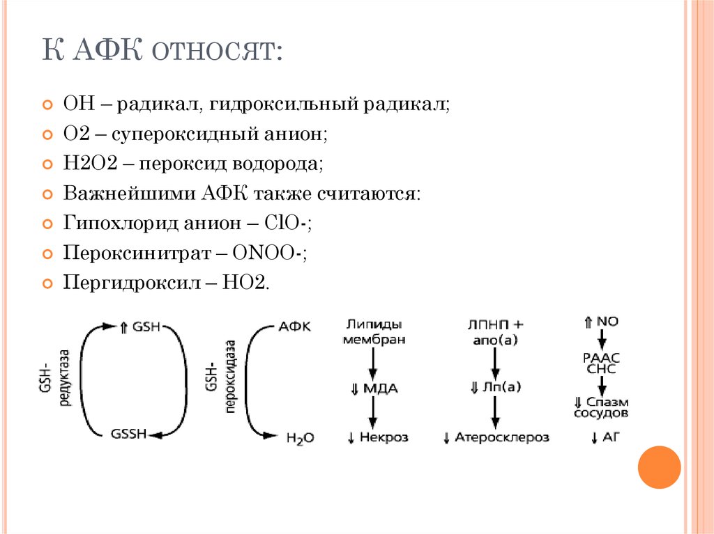 Активные формы кислорода. Активные формы кислорода: супероксидный анион. К активным формам кислорода относят. Гидроксильный радикал АФК. Гидроксильный радикал токсичность.