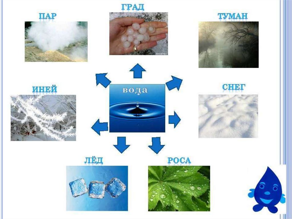 Для чего нужна вода презентация для дошкольников