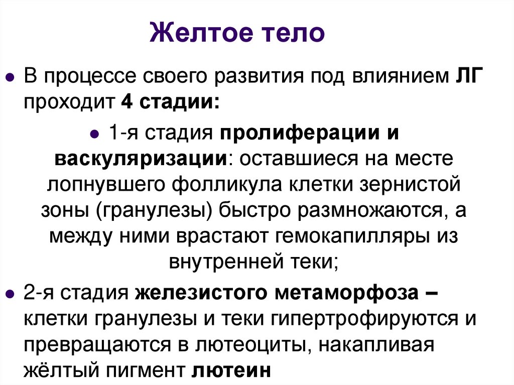 В процессе тело. Стадии формирования желтого тела. Фазы развития желтого тела. Стадия васкуляризации желтого тела. Этапы образования желтого тела.