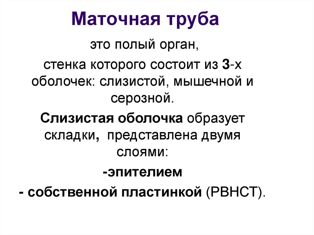 Среднюю оболочку полых органов образует. РВНСТ функции.