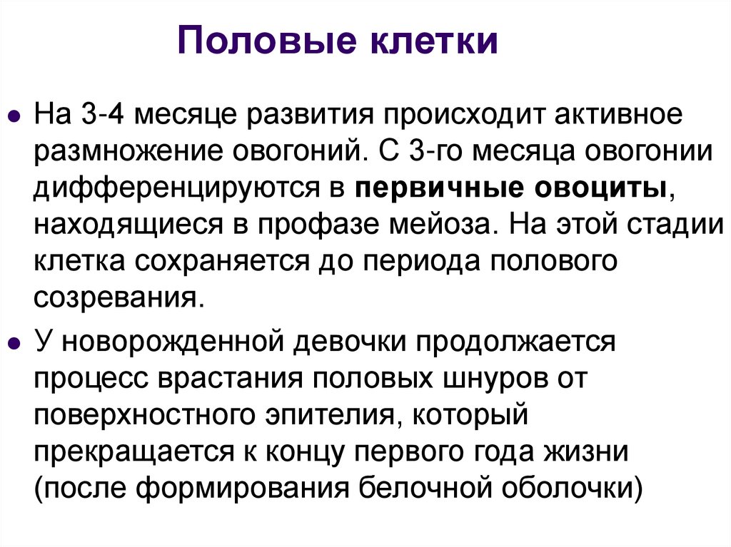 Первичный пол. Активное размножение. Овогонии. Овогония это в биологии.