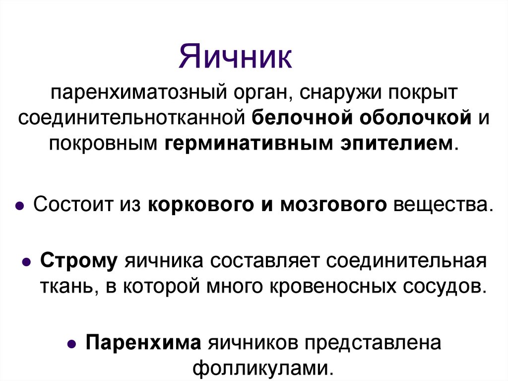 Масса яичника составляет. Герминативный эпителий. Герминативная теория. Герминативный эпителий количество ДНК. Герминативная функция гонад.