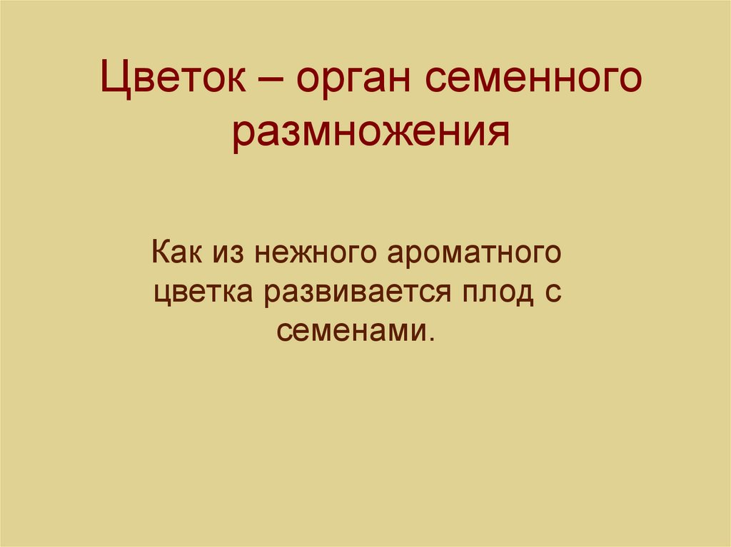 Цветок орган размножения. Значение семенного размножения. Семя это орган семенного размножения новое поколение плод. Как размножаются стандарты. Как размножаются девочки.