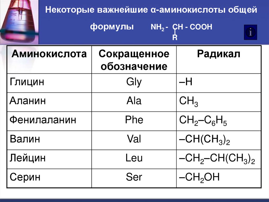 Некоторые важнейшие α-аминокислоты общей формулы NH2 - CH - COOH R