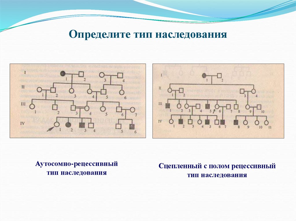 Аутосомно рецессивное наследование. Аутосомно-рецессивный Тип наследования характеризуется. Аутосомно-рецессивный Тип наследования заболевания примеры. Аутосомно-рецессивный Тип наследования примеры. По аутосомно-рецессивному типу наследуются.