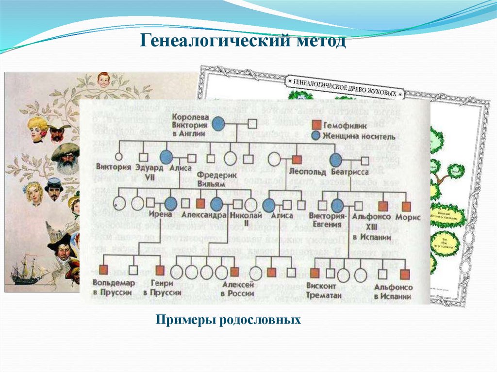 Семейный метод. Генеалогический метод генетики родословная. Клинико-генеалогический метод составление родословной. Генеалогический метод генетики пример. Клинико-генеалогический метод изучения наследственности.