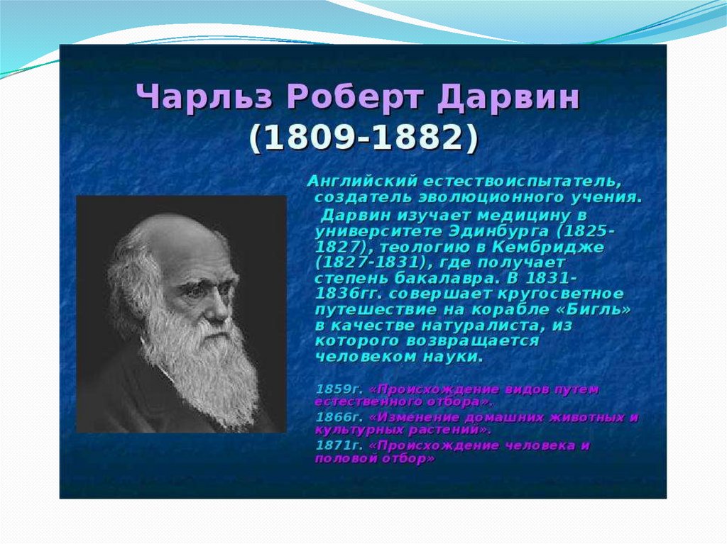 Чарльз дарвин о причинах эволюции животного мира презентация