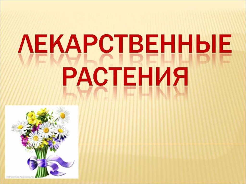 Проект мир лекарственных растений