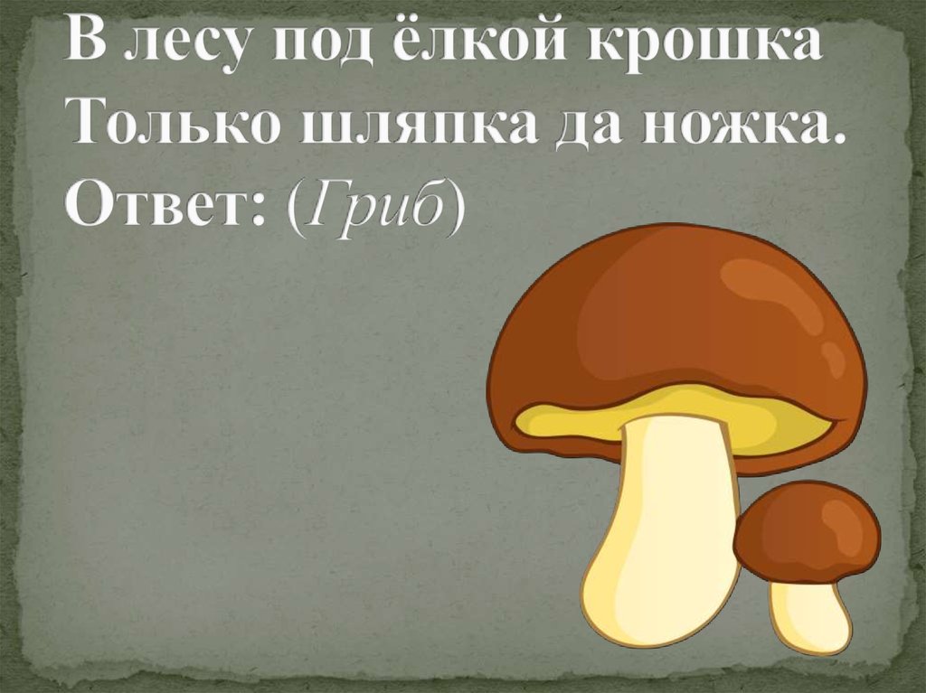 В лесу под березой крошка – только шапочка да ножка.. Вопрос ,ответ на который будет гриб. Вопрос на которой ответ грибница. Ответ на вопрос у него есть ножка и шляпка.