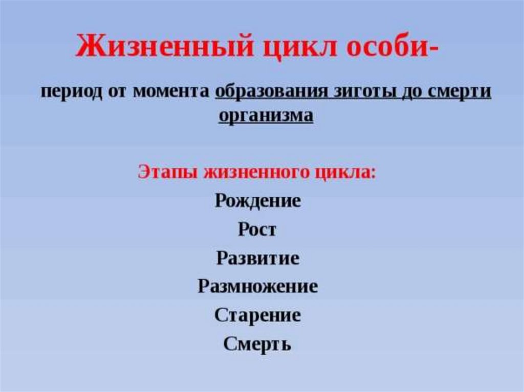 Размножение человека 8 класс