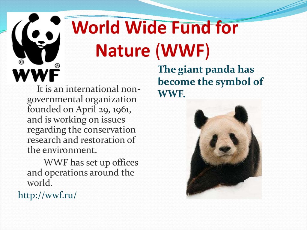 The world wildlife fund is. Всемирный фонд дикой природы WWF. WWF презентация. The World wide Fund for nature (WWF). Всемирный фонд дикой природы проекты.