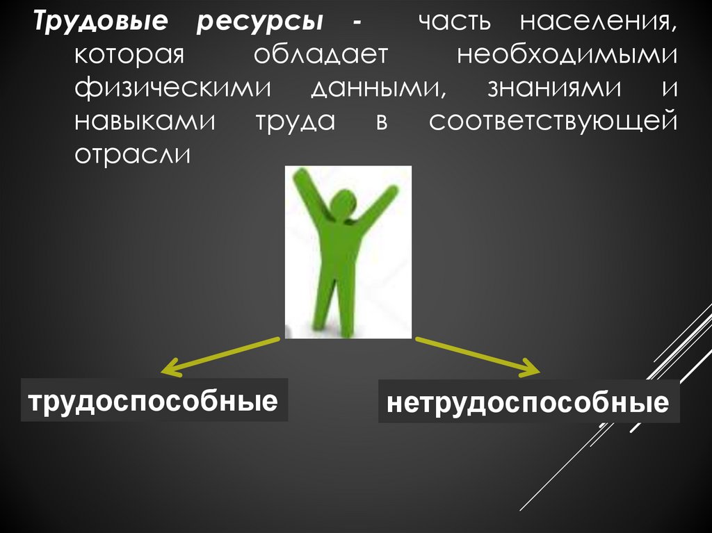 Ао сотол проект