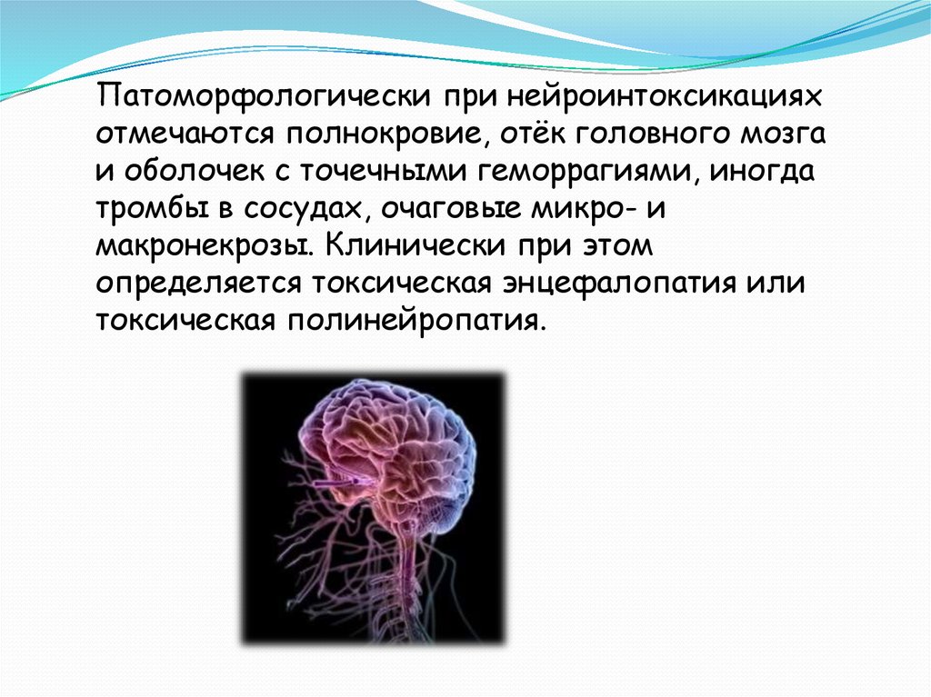 Свойствами центральной нервной системы