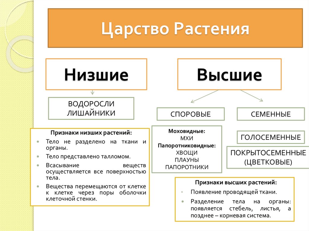 Низшие характеристика. Лишайники высшие или низшие растения. Высшие и низшие растения лишайники. Лишайник это высшее или низшее растение. Высшие растения и низшие растения лишайники.