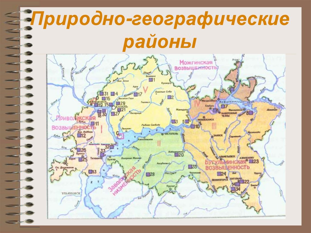 Географические районы. Природные зоны Татарстана карта. Районирование Татарстана Предкамье. Татарстан географический район. Природно географические районы Татарстана.