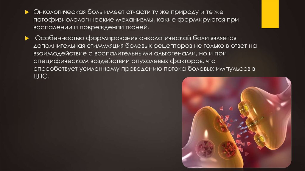 Печеночный болевой синдром презентация