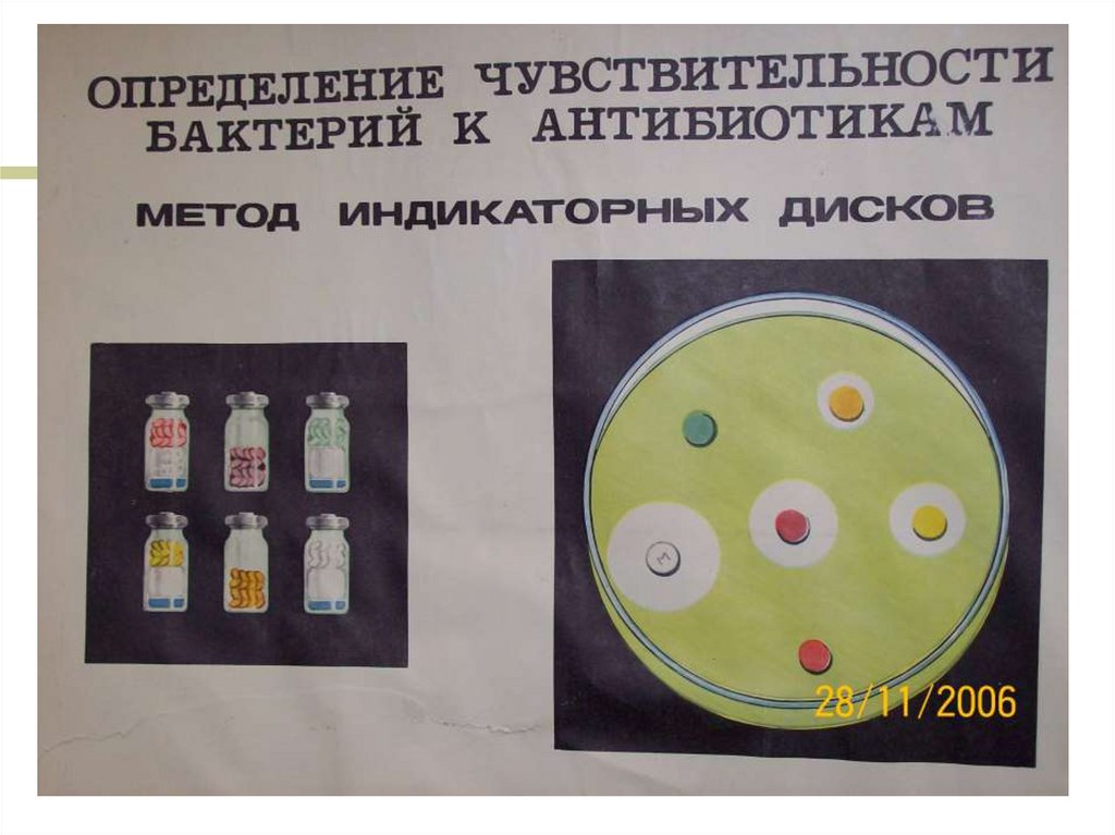 Определение чувствительности к антибиотикам. Методы определения чувствительности бактерий к антибиотикам. Метод определения чувствительности бактерий к антибиотикам. Чувствительность к антибиотикам методом дисков. Методы определения чувствительности бактерий к антибиотикам диски.