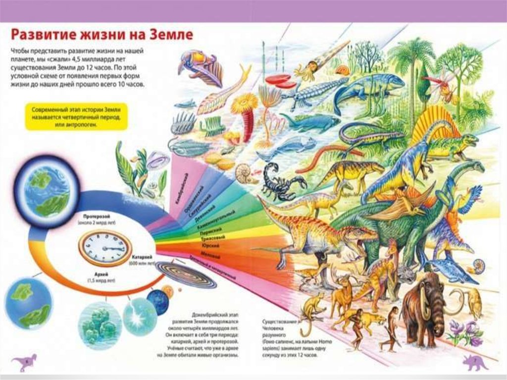 Возникновение и развитие нашей планеты картинки