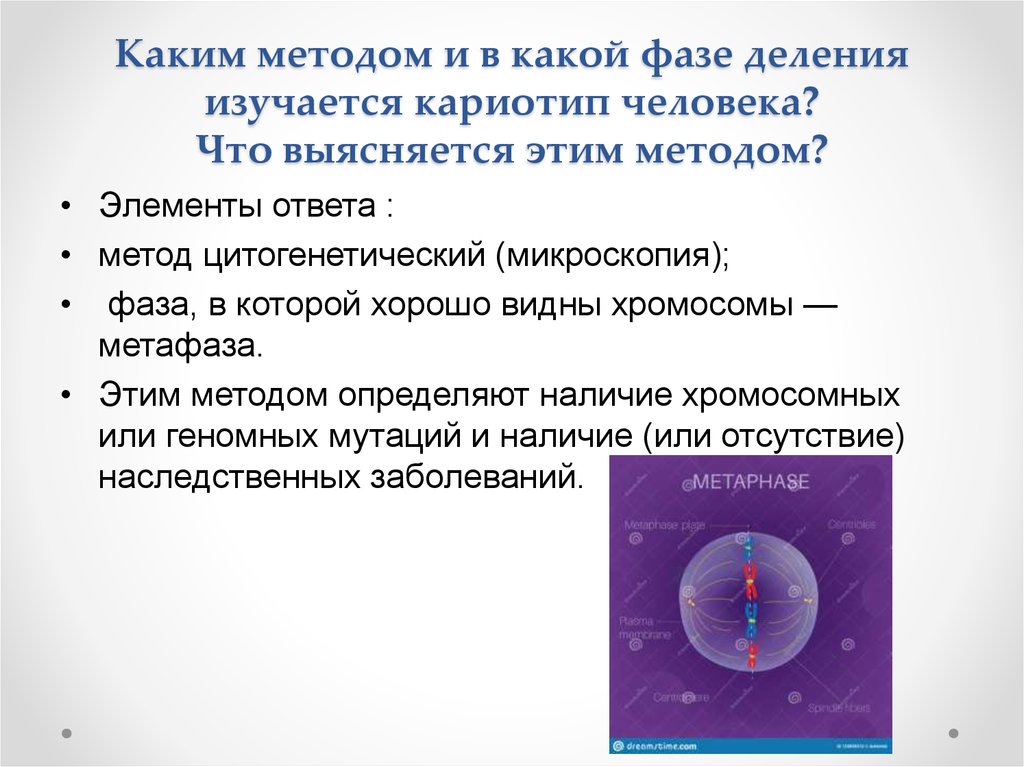 Биология как наука методы познания живой природы