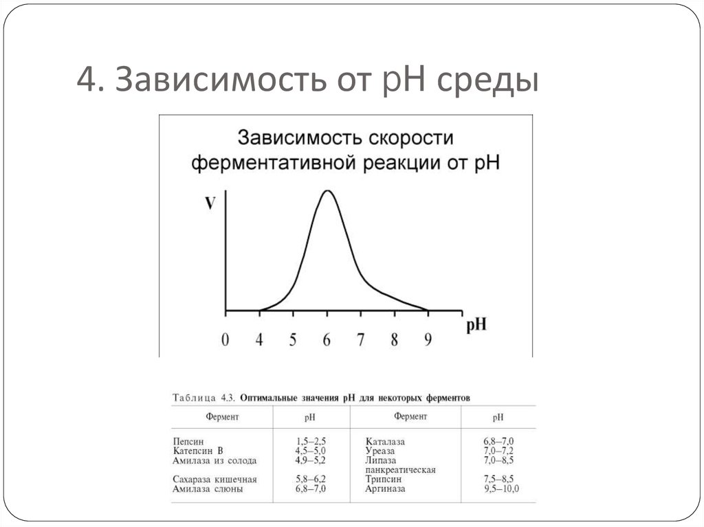 В зависимости от среды. Зависимость PH среды. График зависимость влияние PH среды. Зависимость от РН среды. Фосфатаза график зависимости от PH среды.