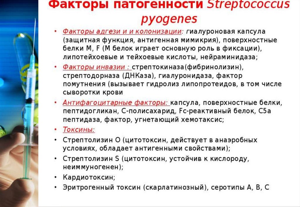 Эритрогенный токсин. Факторы патогенности пневмококка. Фактор помутнения стрептококка. Токсины пневмококков. Факторами патогенности пневмококков являются.