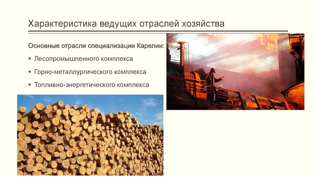 Укажи главную отрасль экономики россии в. Отрасли специализации лесопромышленного комплекса. Отрасли экономики Карелии. Характеристика ведущих отраслей хозяйства. Ведущие отрасли экономики.
