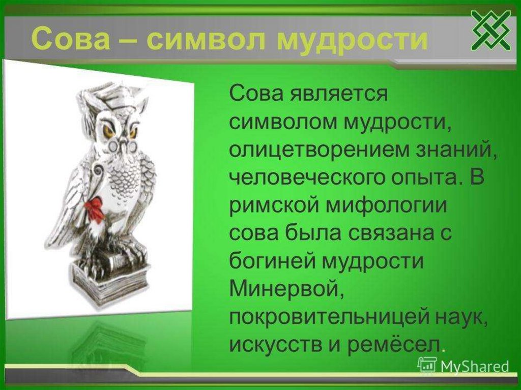 Что означает сова. Сова символ чего. Сова-символ мудрости знаний и опыта. Символ мудрости. Сова символ мудрости.