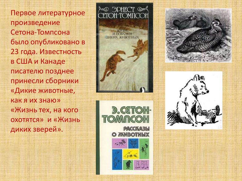 Произведения писателей о животных. Рассказы о животных Сетон Томпсон биография.
