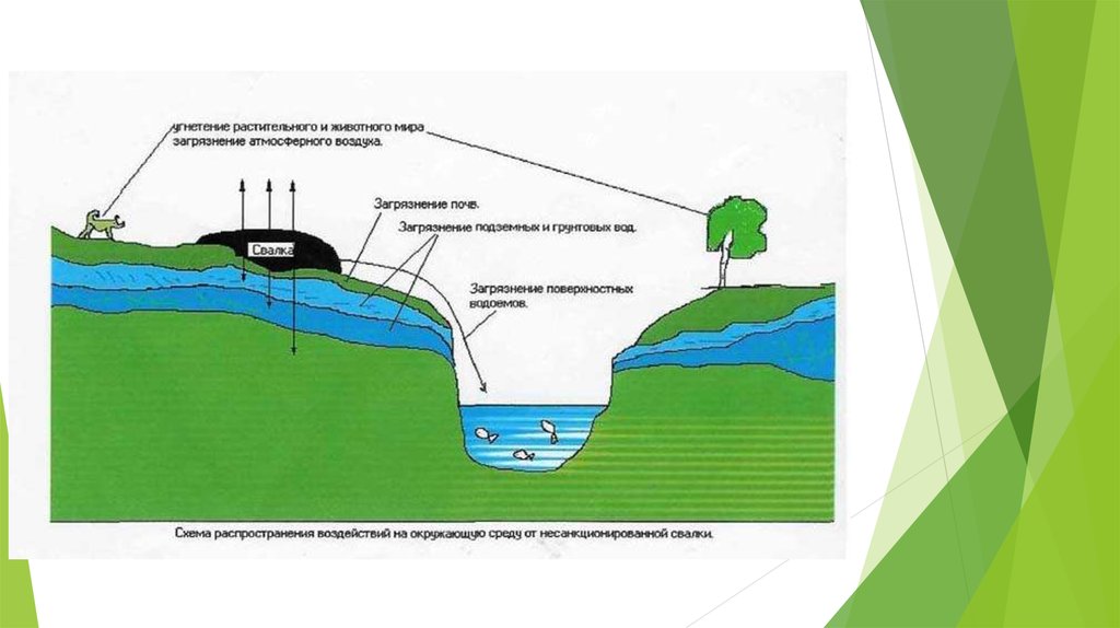 Управление водохранилищами. Поверхностные и грунтовые воды. Схема загрязнения подземных вод. Водные объекты: подземные воды. Влияние водохранилищ на грунтовые воды.
