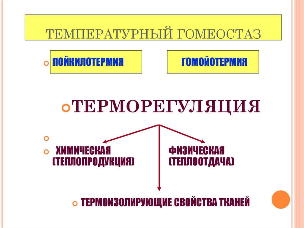 Терморегуляция презентация по патологии