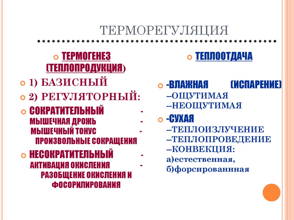 Презентация терморегуляция организма 8 класс