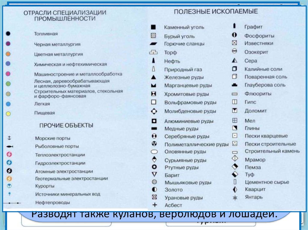 Обозначения в географии. Условные знаки полезных ископаемых. Условные обозначения полезных ископаемых на карте. Полезные ископаемые обозначения на карте. Обозначения промышленности на картах.