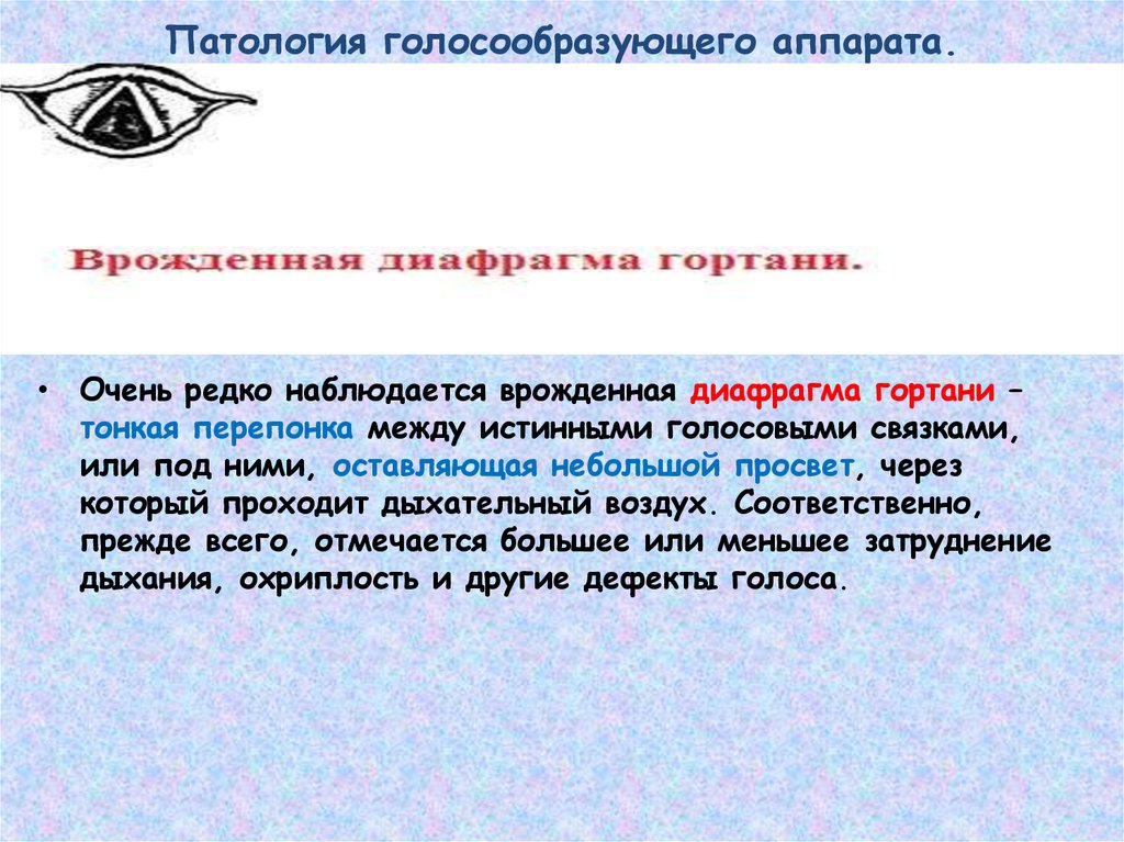 Анатомия физиология и патология речи. Патология голосообразующего аппарата. Анатомия физиология и патология органов речи. Классификация голосообразующих аппаратов. К голосообразующим аппаратам относятся.