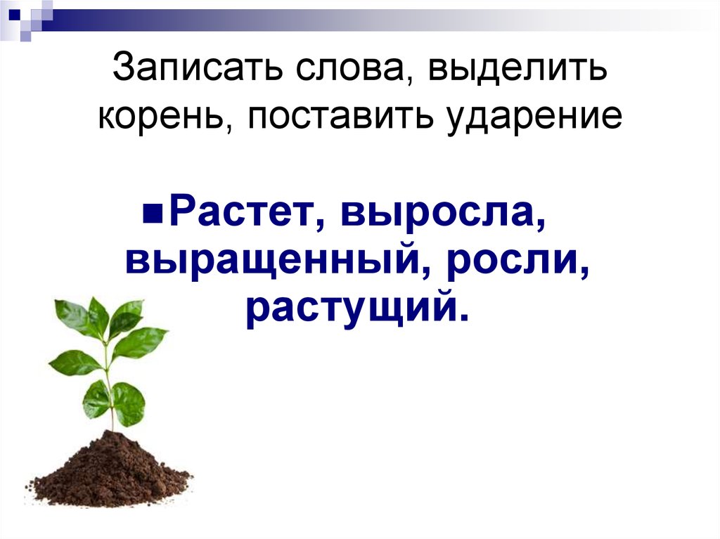 Выделения корень. Как выделяется корень. Выделить корни в словах и поставить ударение. Осенью корень выделить. Установленный корень.