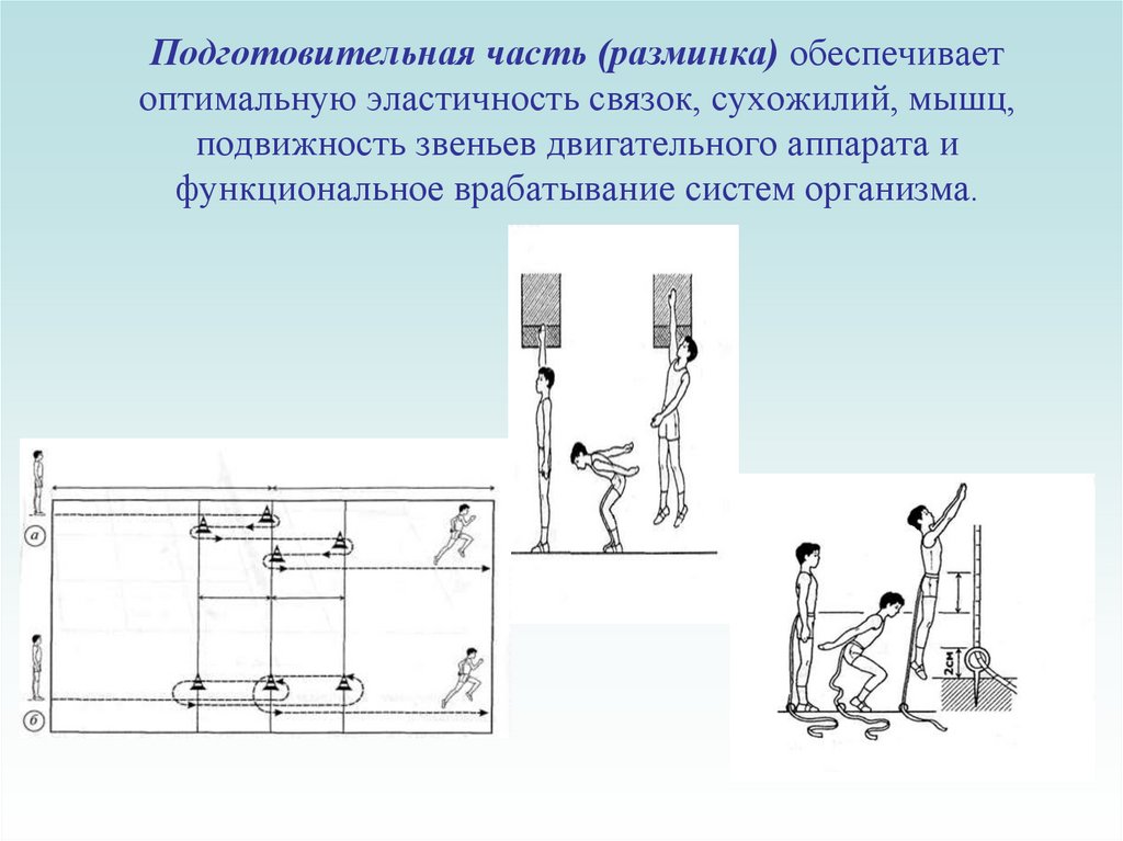 Разминка состоит из части