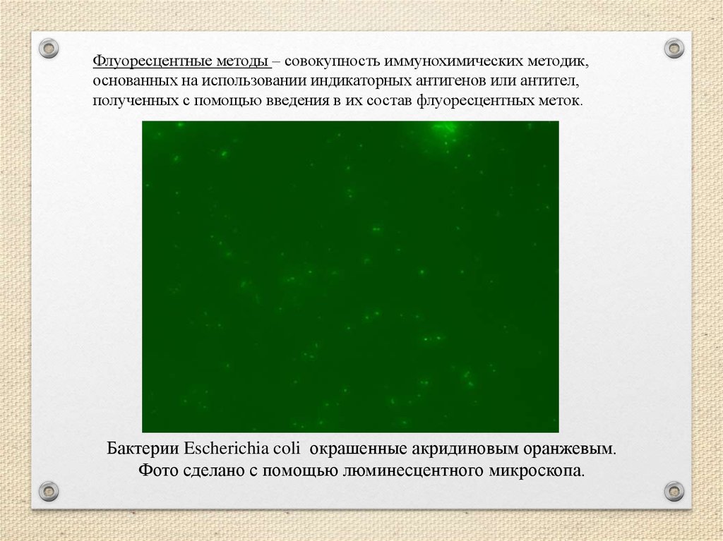 Флуоресцентная детекция. Флуоресцентный метод. Акридиновый оранжевый спектр флуоресценции. Применением методов иммунохимического окрашивания. Флуоресцентные метки метод ЕГЭ.