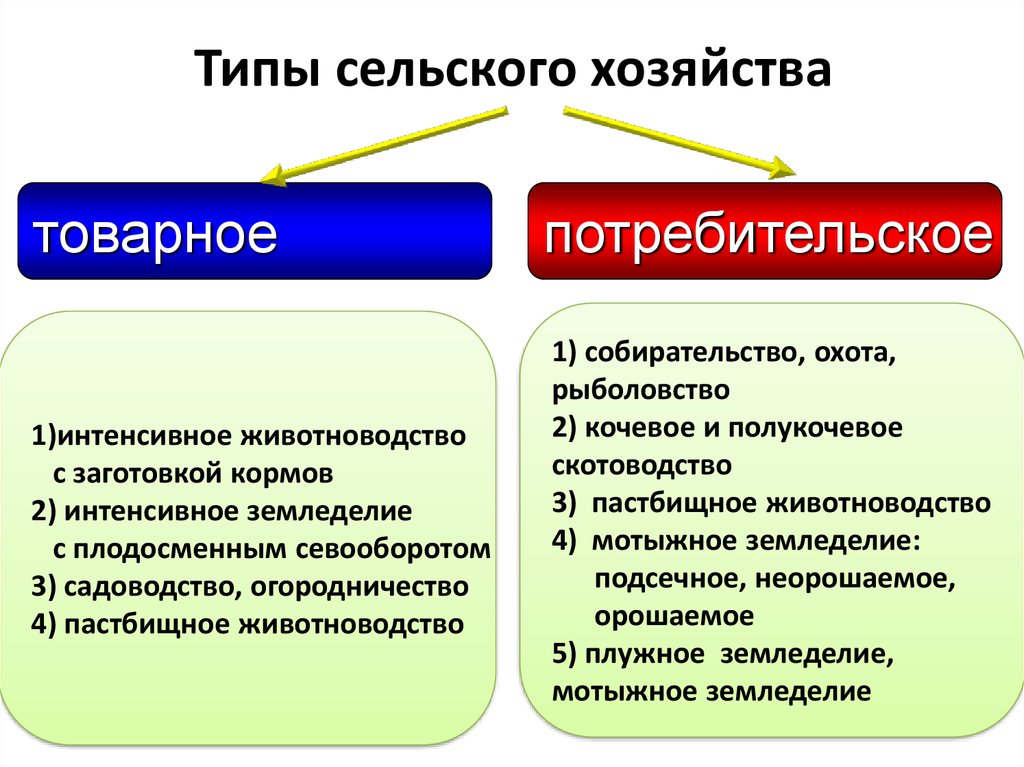 Презентация по географии 10 класс сельское хозяйство