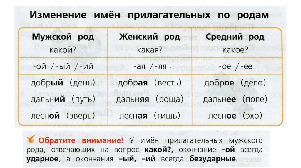 Русский язык 3 класс формы имен прилагательных