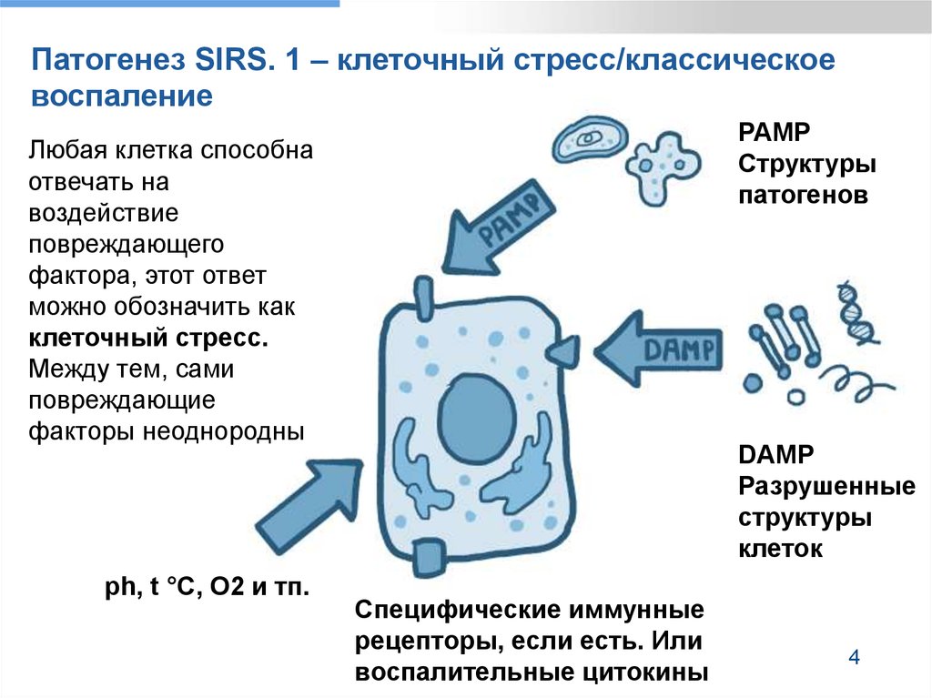 Окислительный стресс презентация