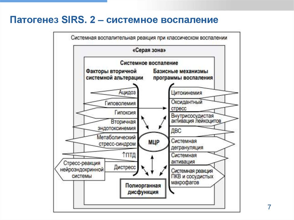 Патогенез воспаления схема