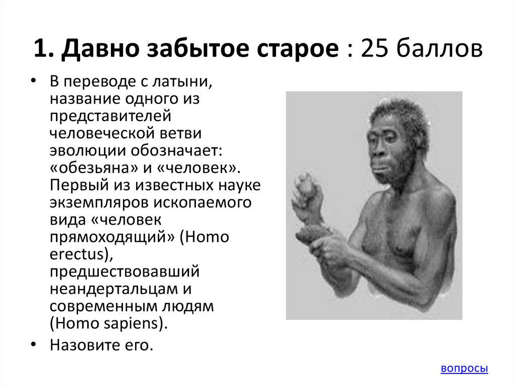 Человек разумный человек прямоходящий. Человек прямоходящий на латыни. Неандерталец это человек прямоходящий. Человек прямоходящий Эволюция.