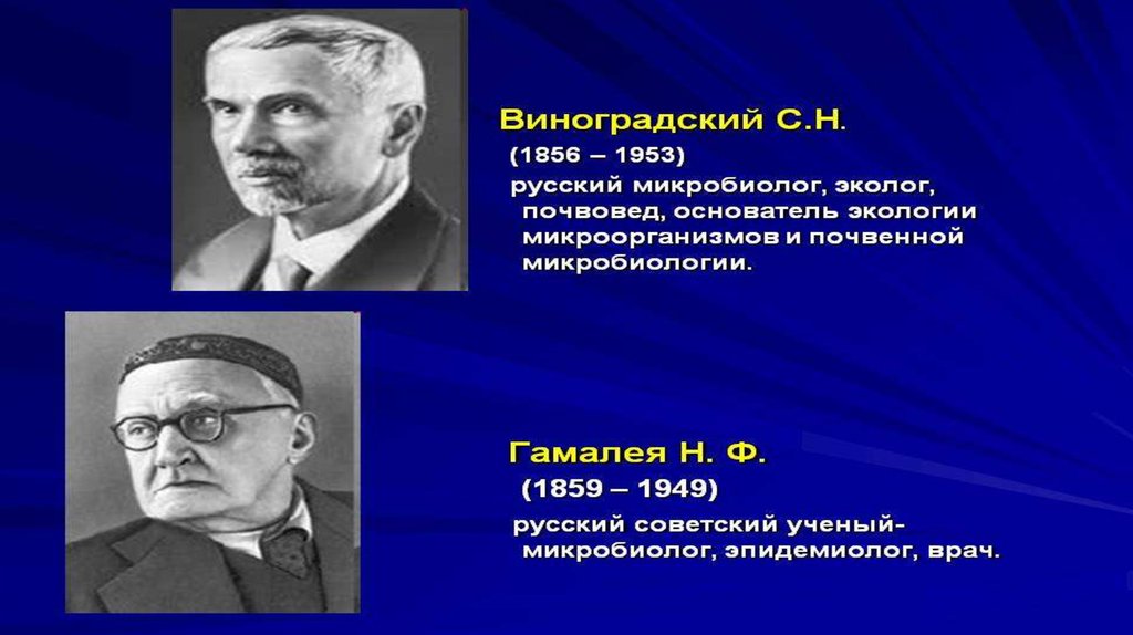 Школа виноградского. Велики заслуги в становлении микробиологии н.ф. Гамалеи (1859—1949).. Гамалея открытия в микробиологии. История развития микробиологии как науки.