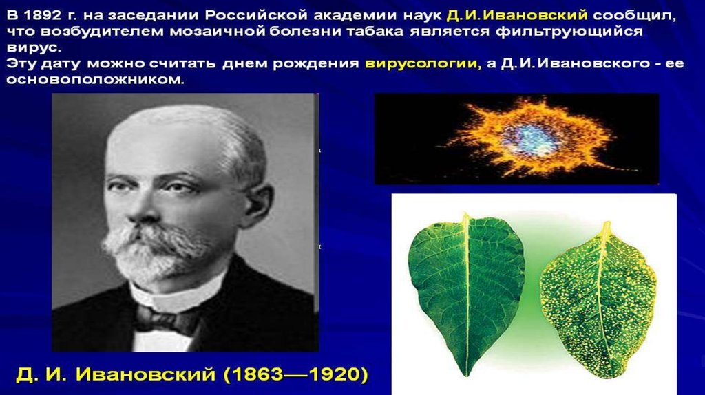 Мозаичная болезнь табака ивановский. Д И Ивановский. Ивановский ученый вирусолог. Д.И.Ивановский основоположник вирусологии.