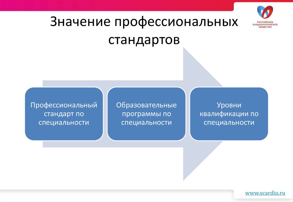 Руководитель проекта профстандарт