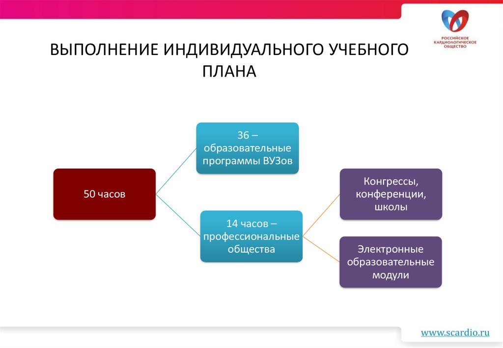 Индивидуальная учебная программа