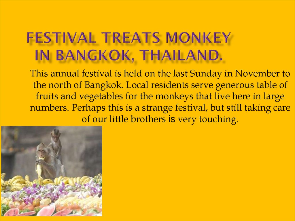 Festival treats monkey in Bangkok, Thailand.