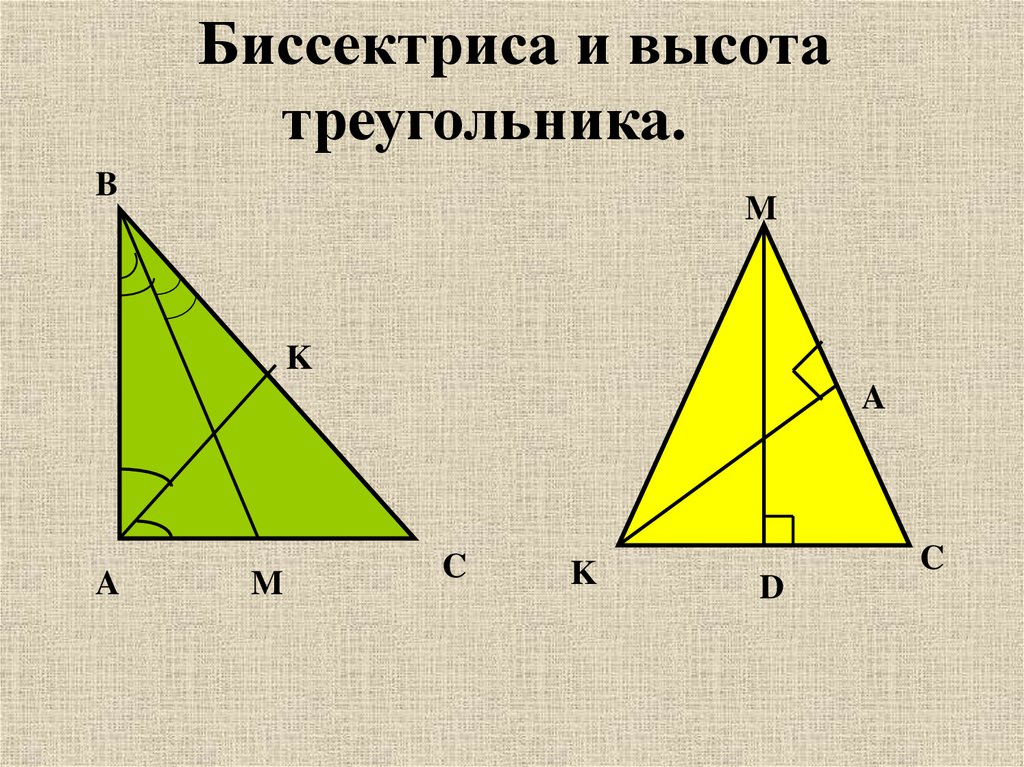 Где основание и высота треугольника. Биссектриса. Высота треугольника. Центр треугольника. Центр высот треугольника.