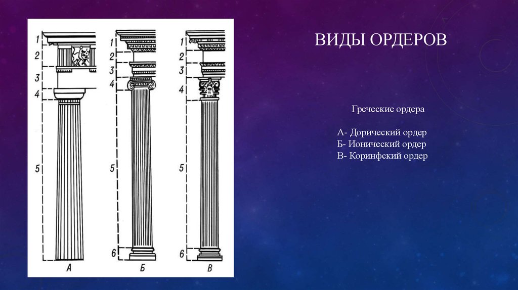 Что такое ордер. Дорический ордер ионический ордер Коринфский ордер. Ионический дорический и Коринфский ордера в полный рост. Дорический ордер проект. Типы ордеров в архитектуре.