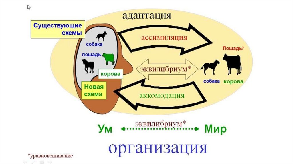 Пиаже когнитивные схемы