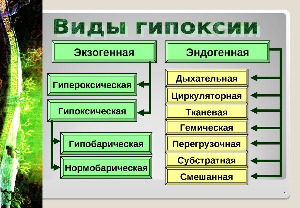 Виды гипоксии схема